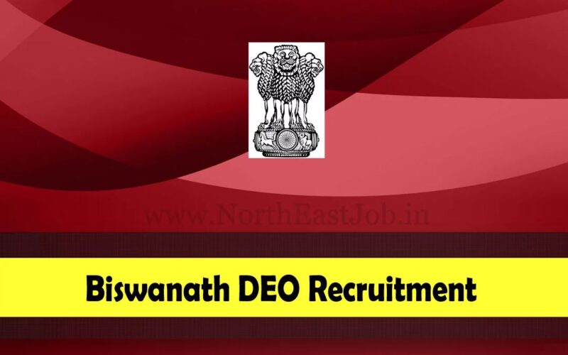 Biswanath DEO Recruitment » 07 Data Entry Operator Vacancy