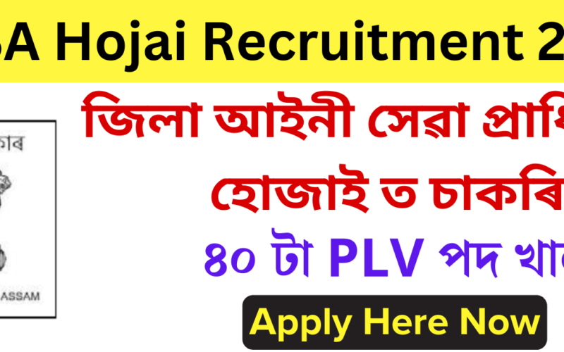 DLSA Hojai Recruitment 2024 – 40 Para Legal Volunteers (PLV) Vacancy