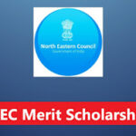 NEC Merit Scholarship 2024 – Submit Online Application